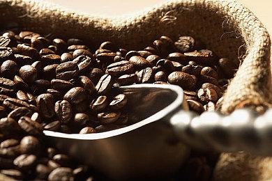 蒸汽世界开发商暗示将于1月18日公开系列新作